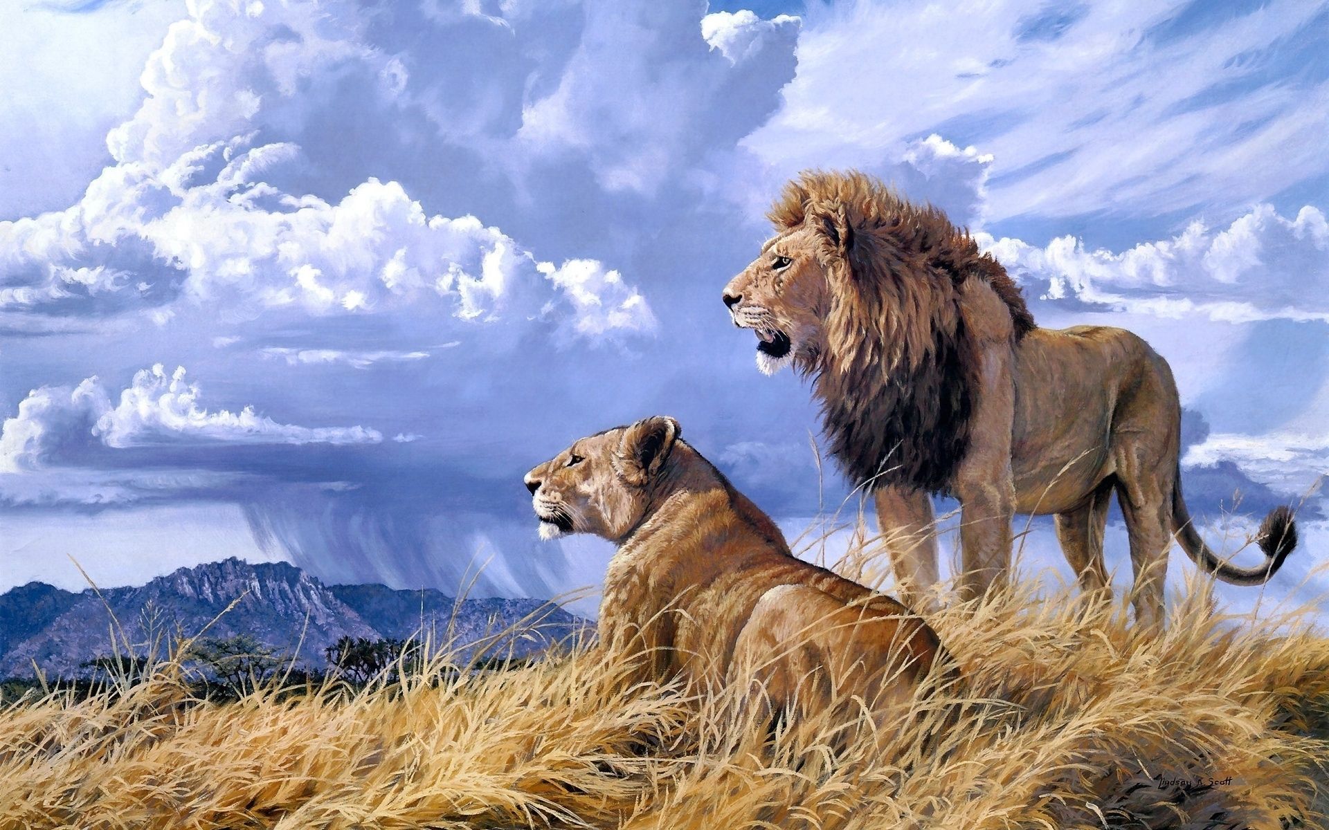 Lion Animal download wallpaper image