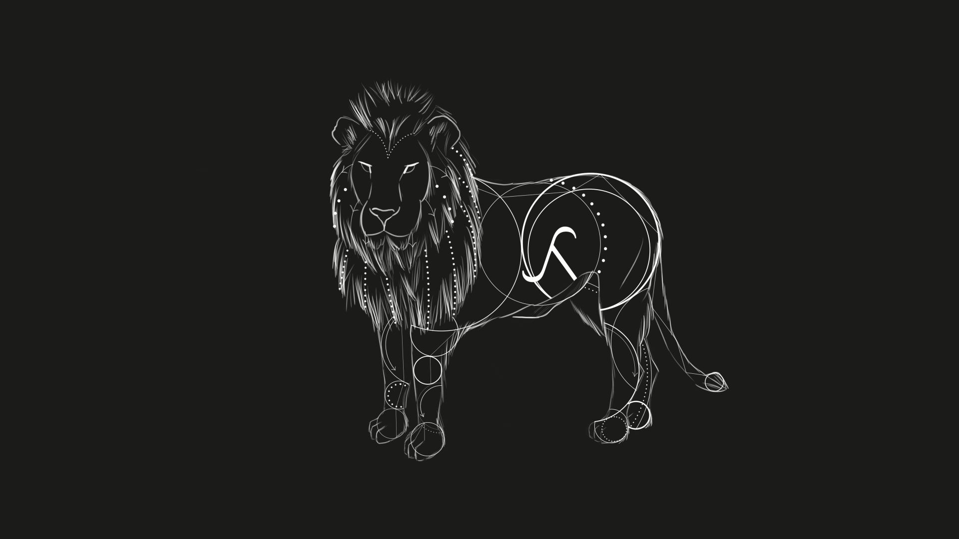 30 Lion Black and White Wallpapers - Wallpaperboat