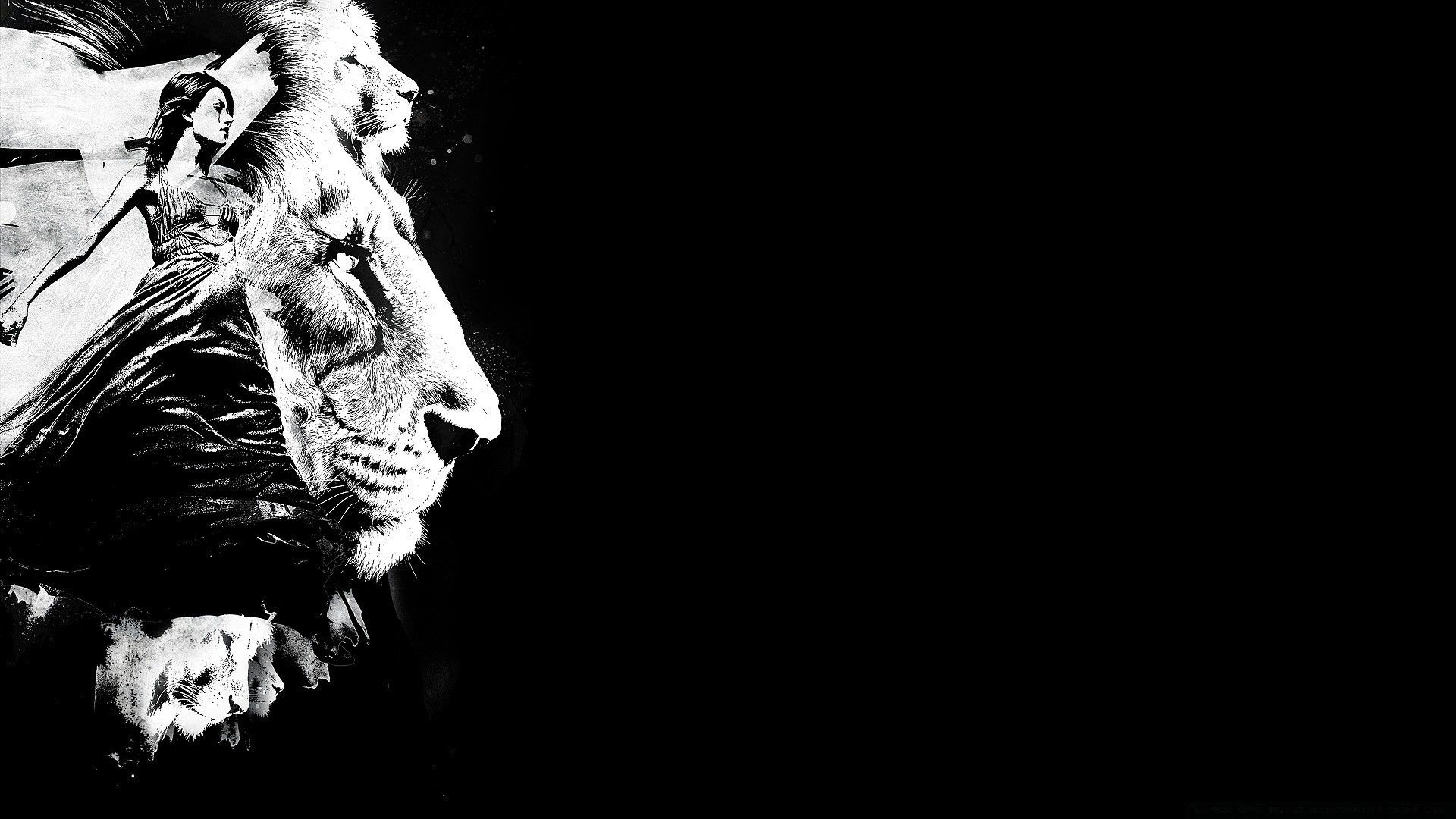 Lion Black And White Animal wallpaper and themes