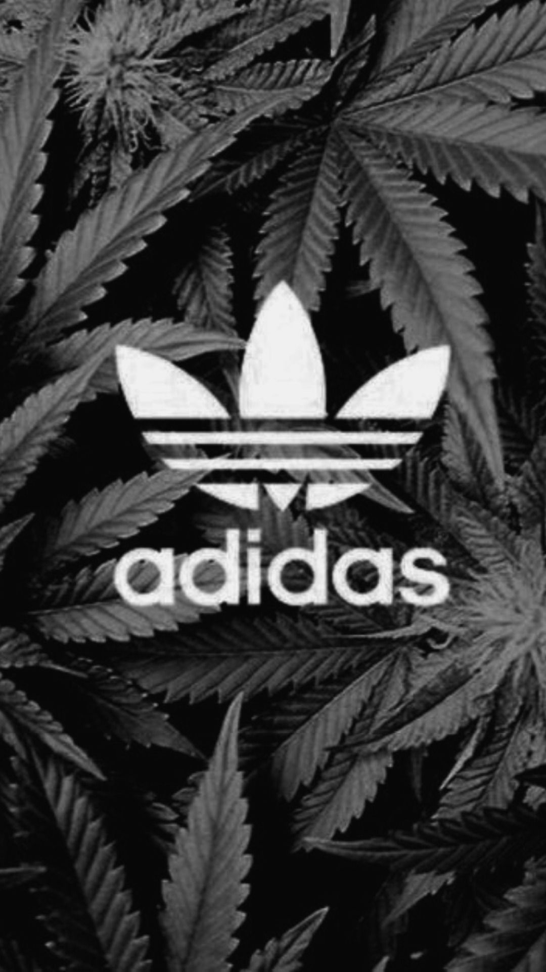 Adidas wallpaper for android