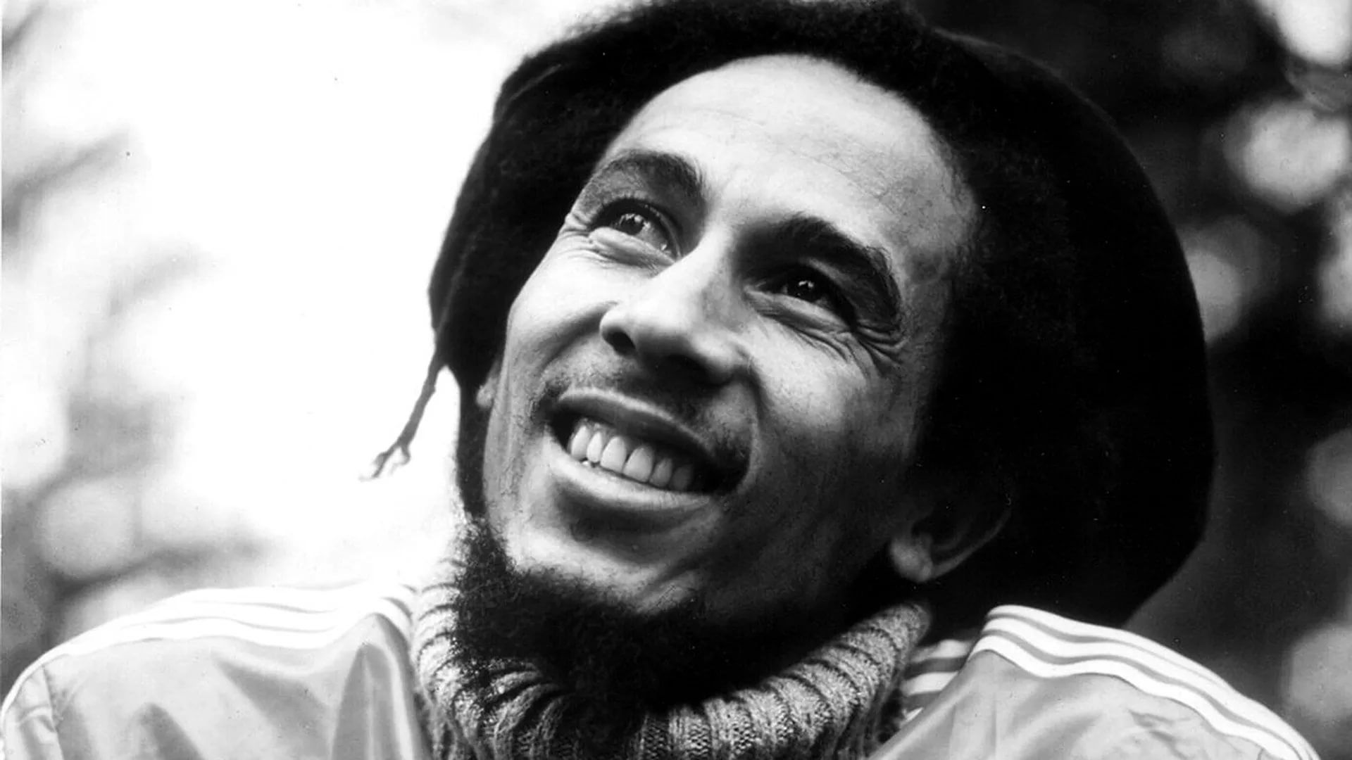 Bob Marley Free Download Wallpaper