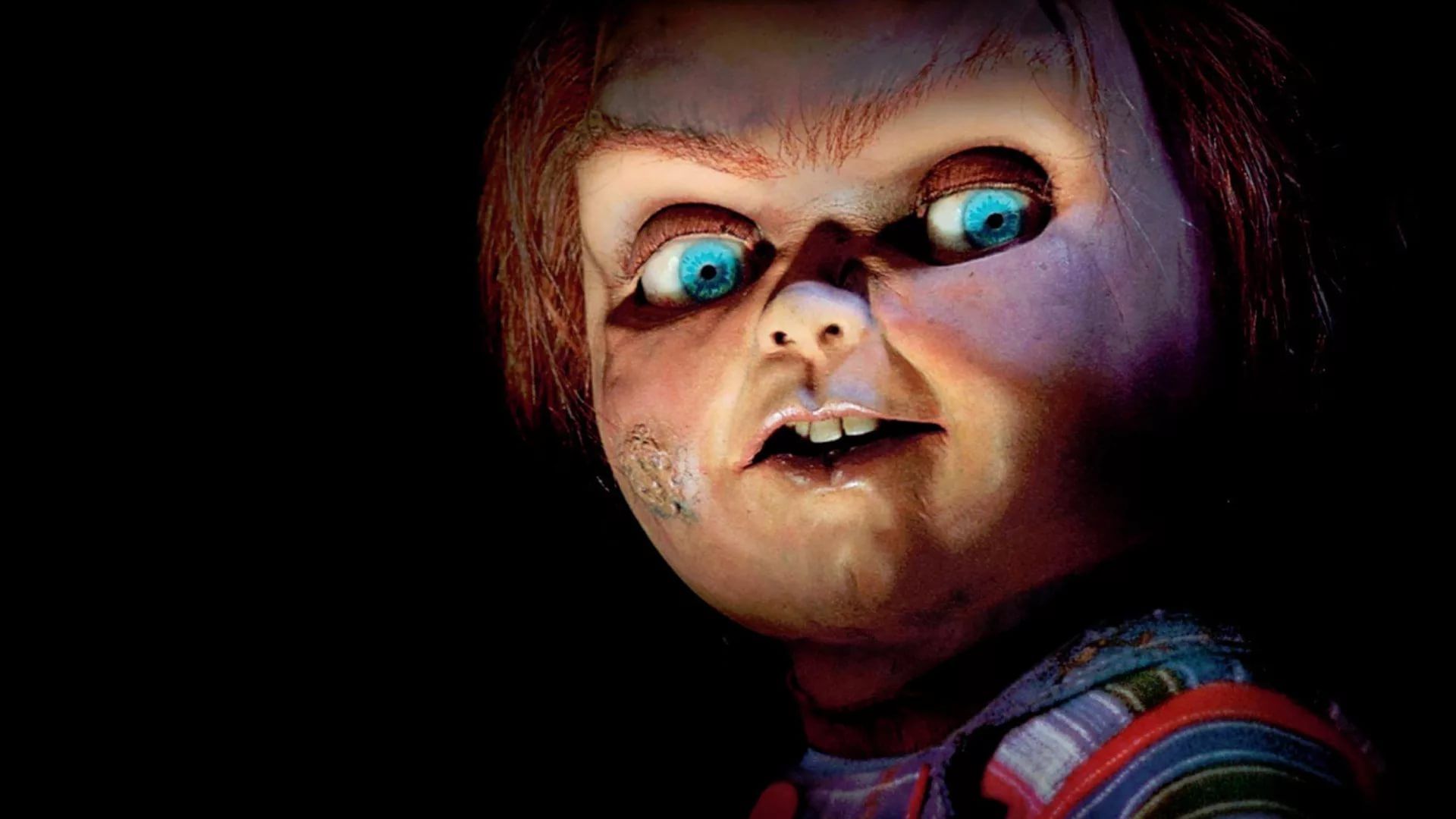 Chucky Doll Picture