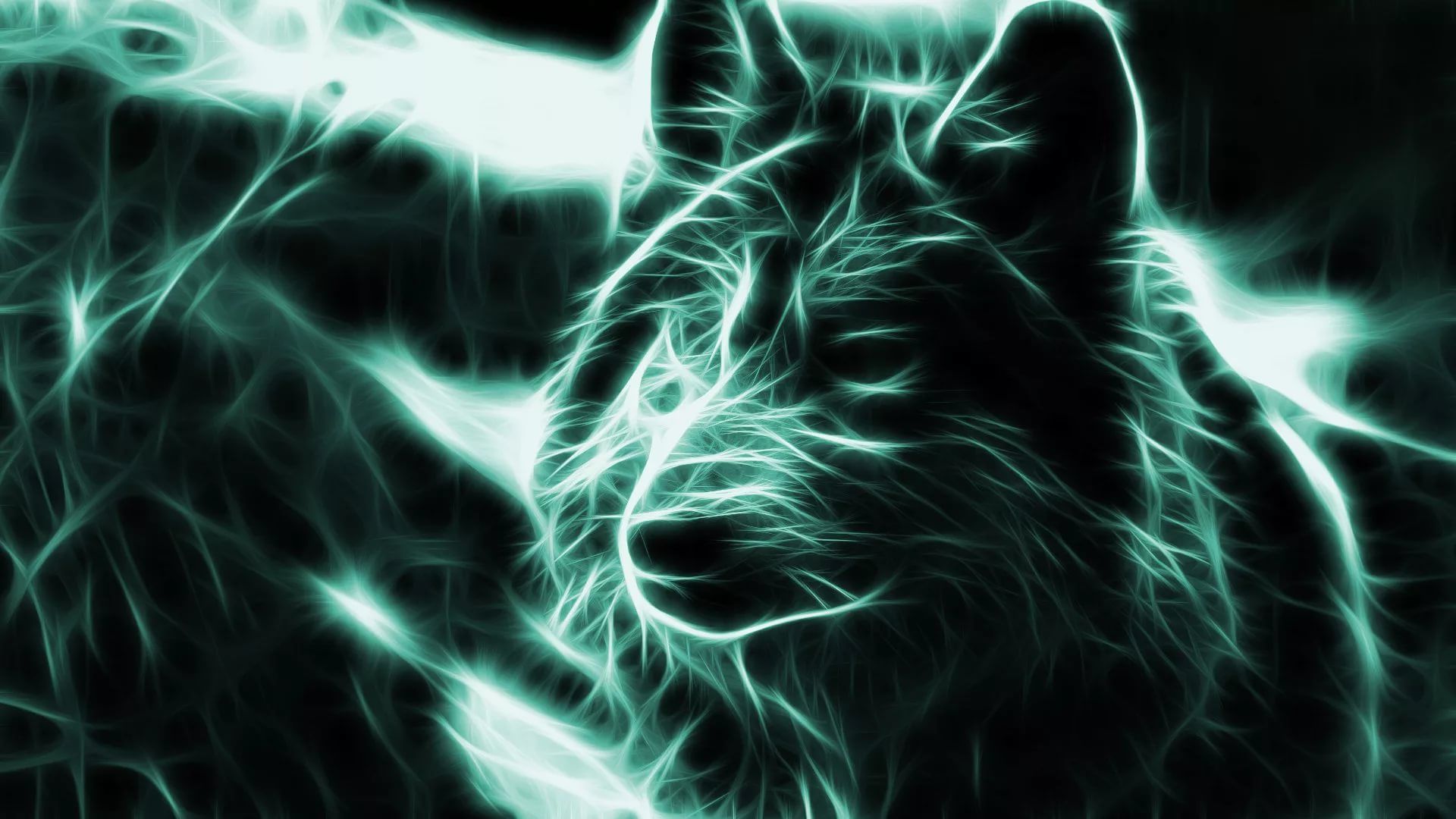 Cool Wolf Wallpapers (31+ images