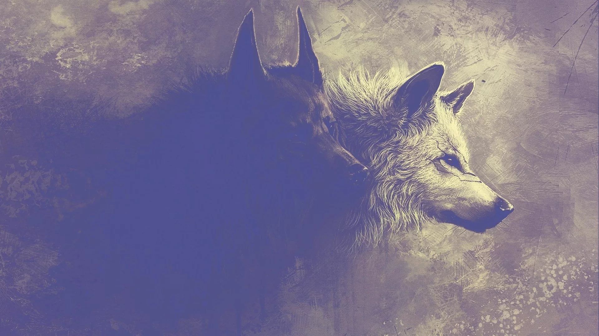 Cool Wolf Background Wallpaper HD