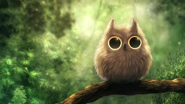Cute Owl laptop wallpaper