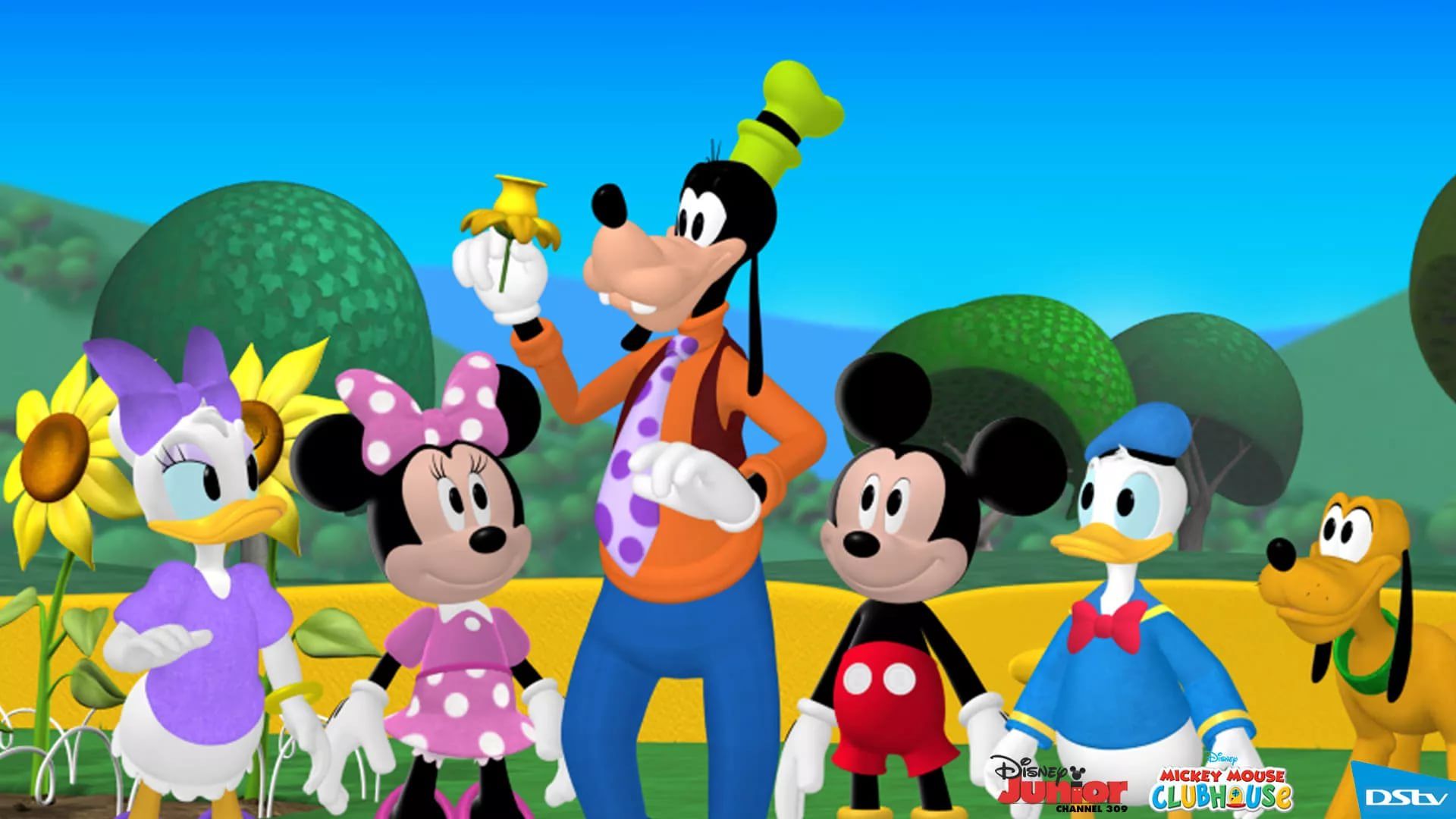 Characters of disney world in the Mickey Mouse Clubhouse