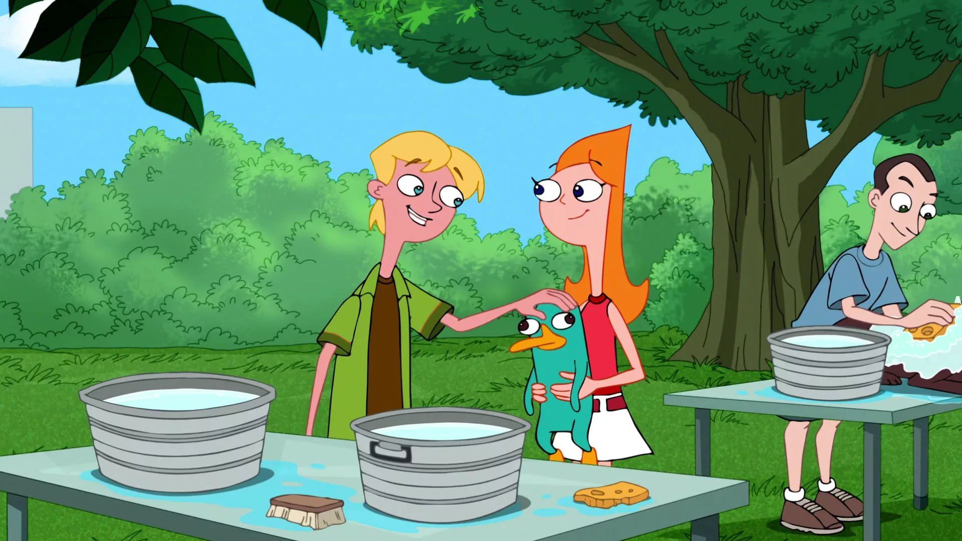 Phineas And Ferb Wikia hd wallpaper