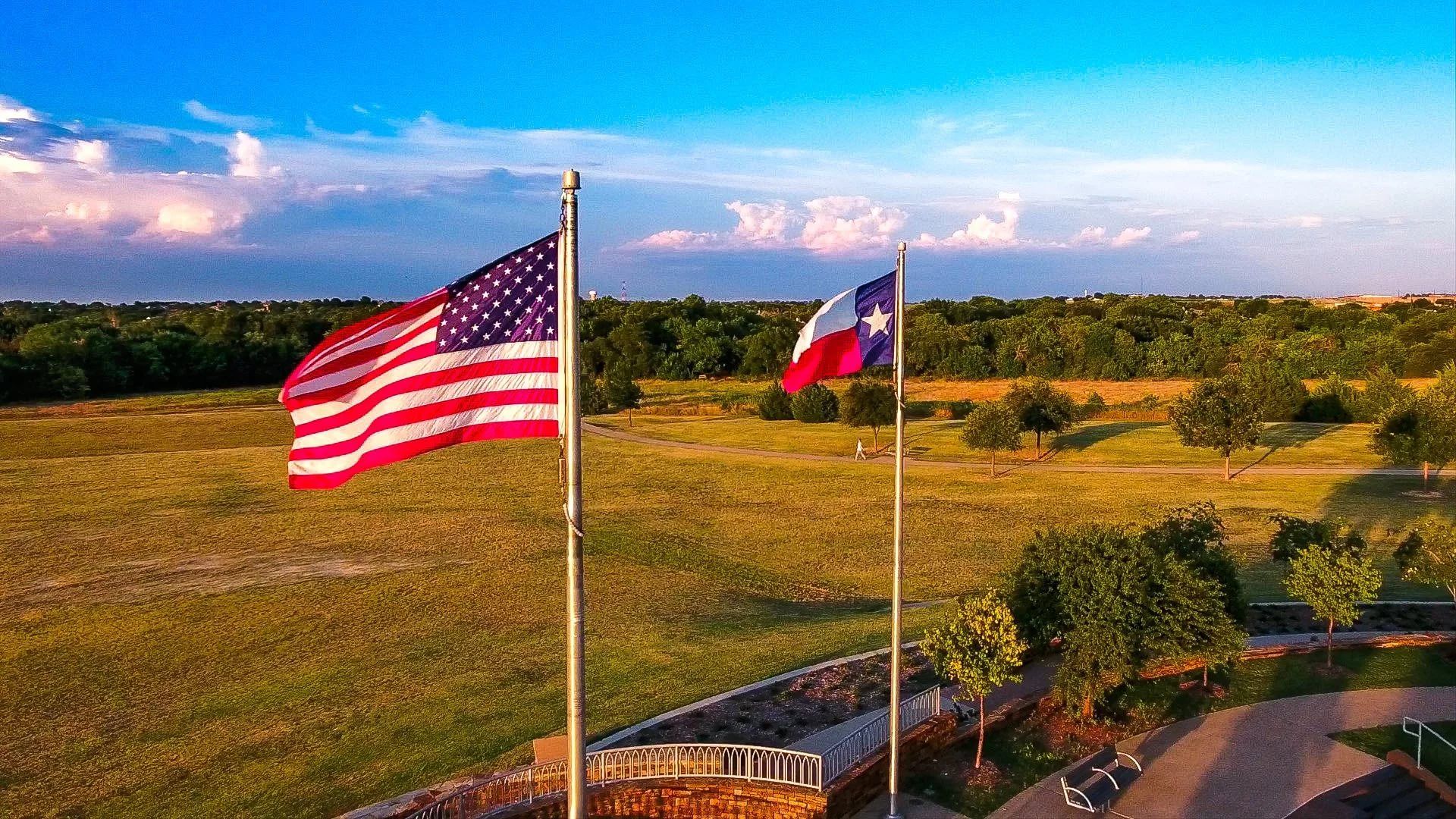 Texas Flag Picture
