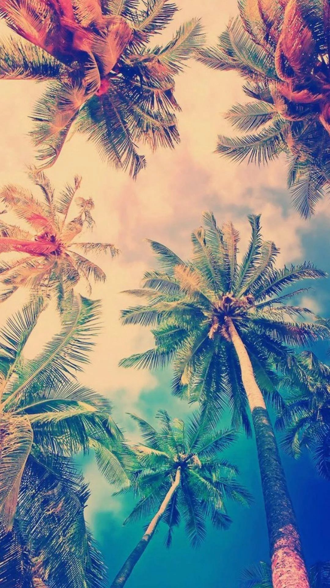 Summer wallpaper for android