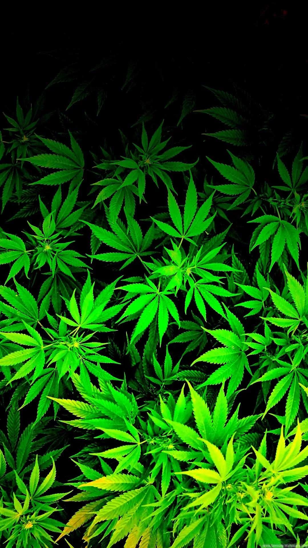 Weed wallpaper for android