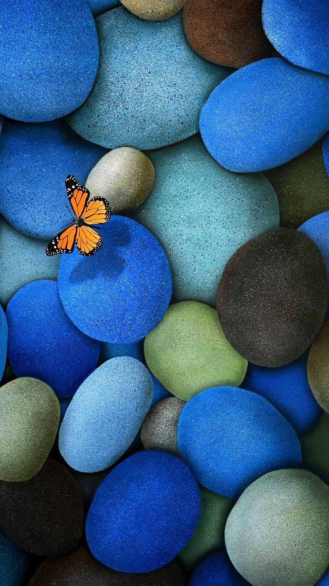 Blue Pebbles Orange Butterfly Android Wallpaper 