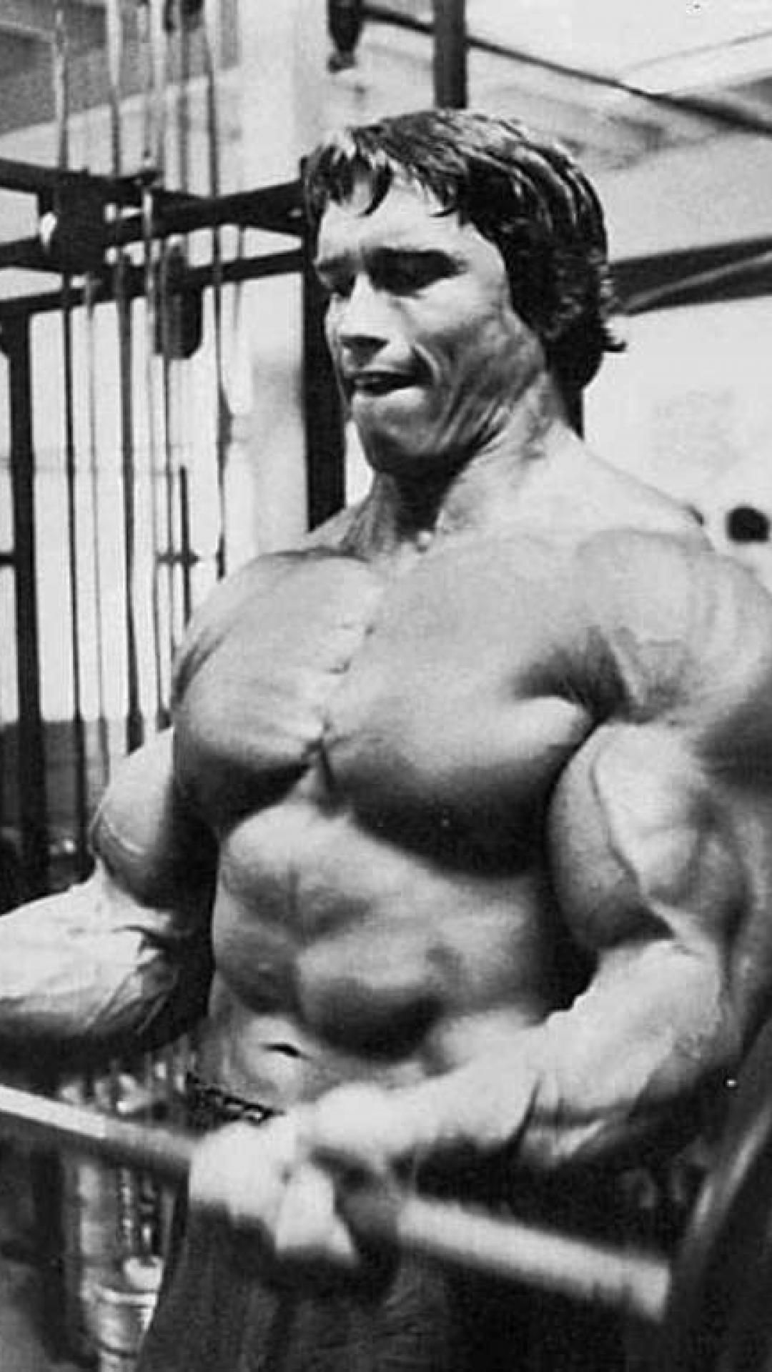 Download Arnold Schwarzenegger Picture For Iphone 