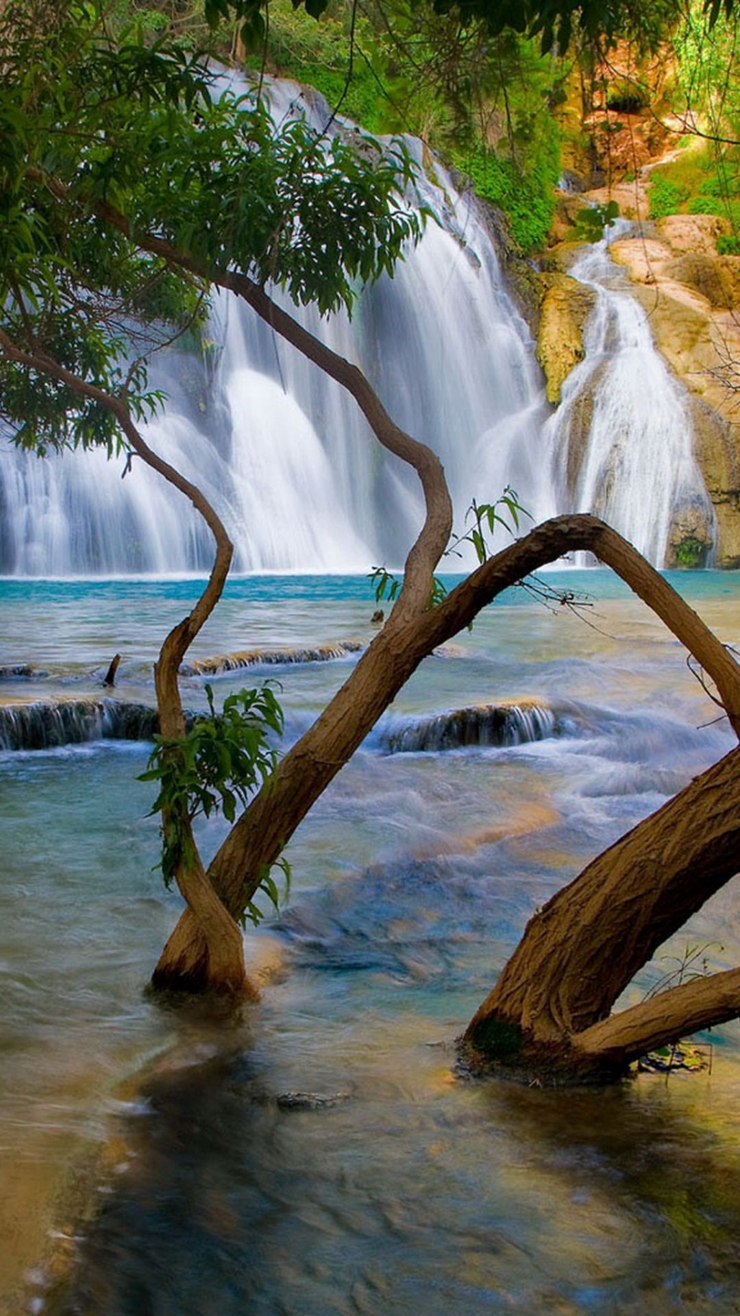 Nature Wallpaper Hd 3d Download For Android Mobile - imageyellow