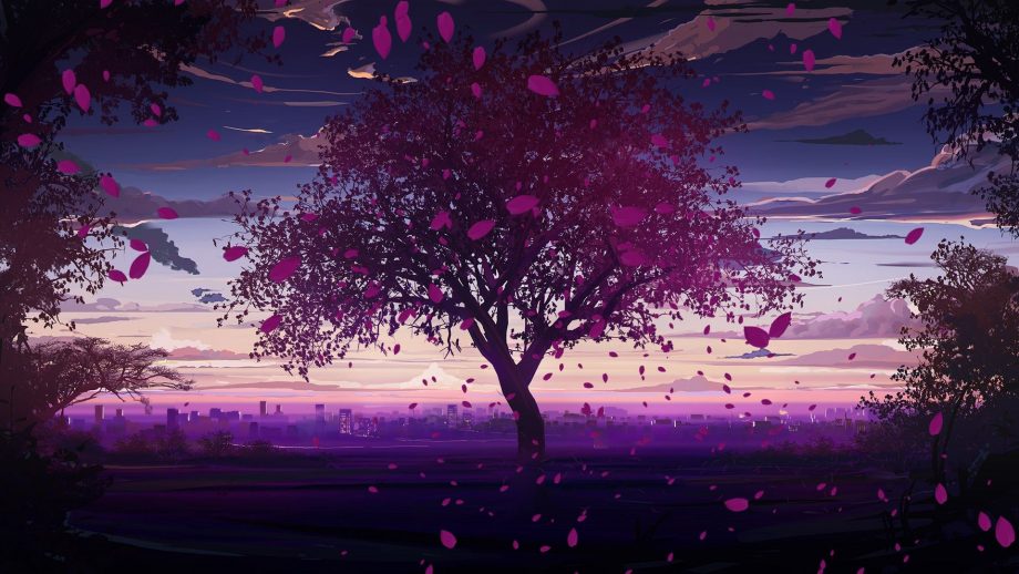 24 Anime Cherry Blossom Wallpapers - Wallpaperboat