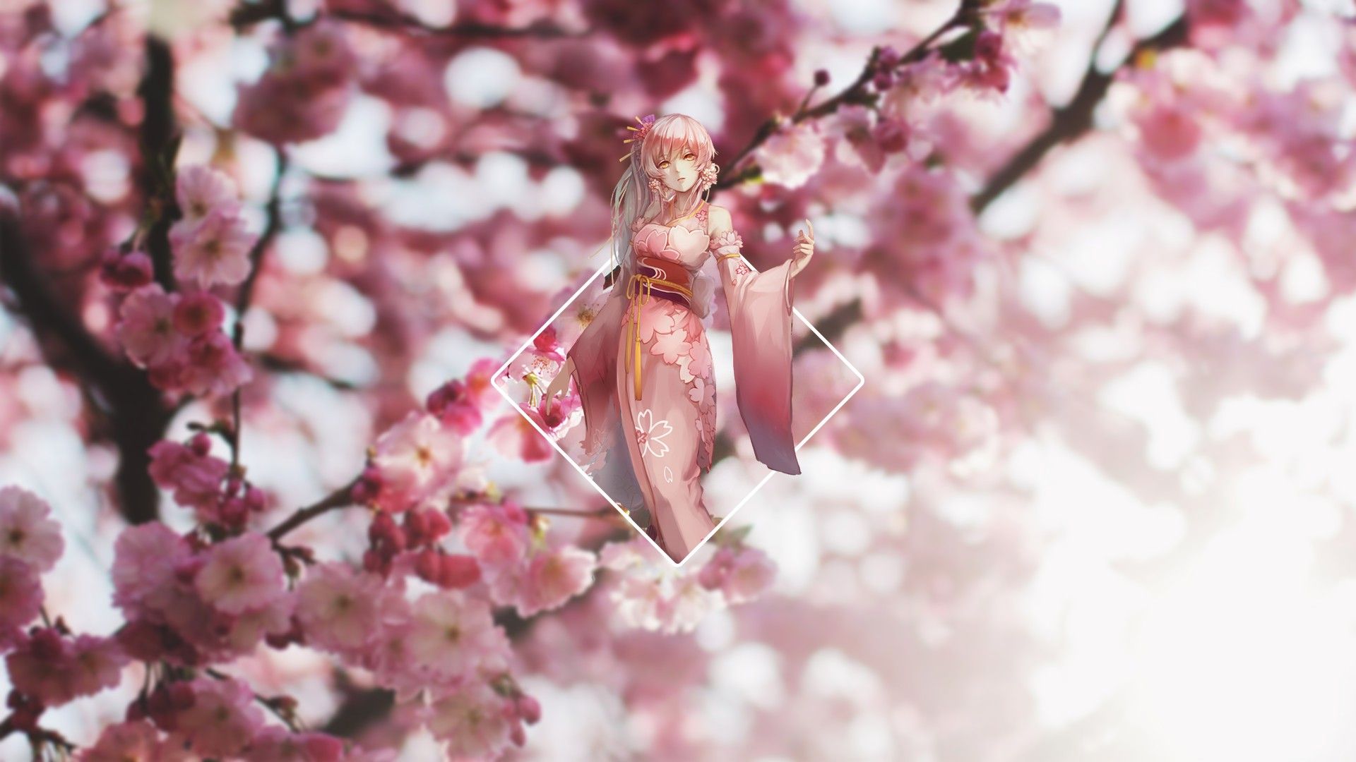 Landscape, Cherry Blossom, Anime Girls, Blurred Wallpapers Hd Desktop And 