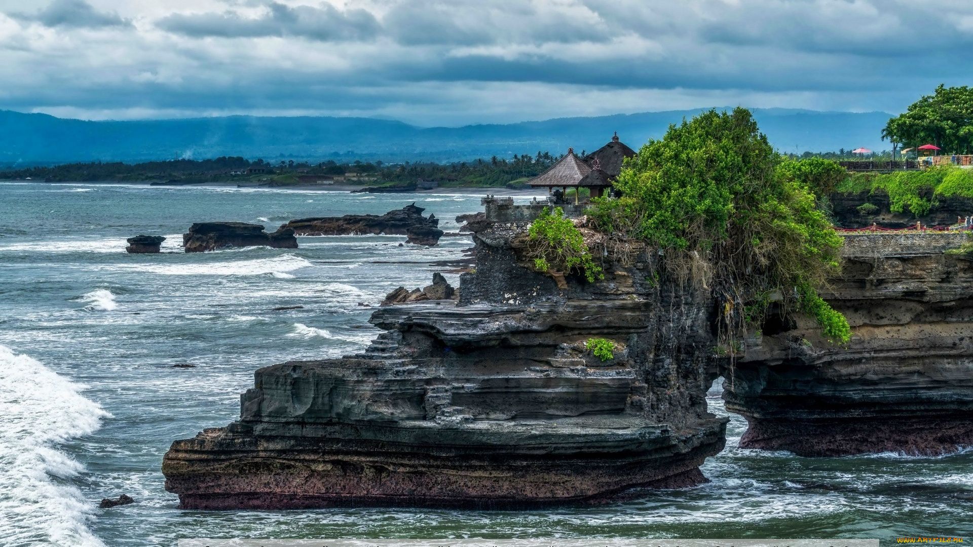 Bali Nature Photo