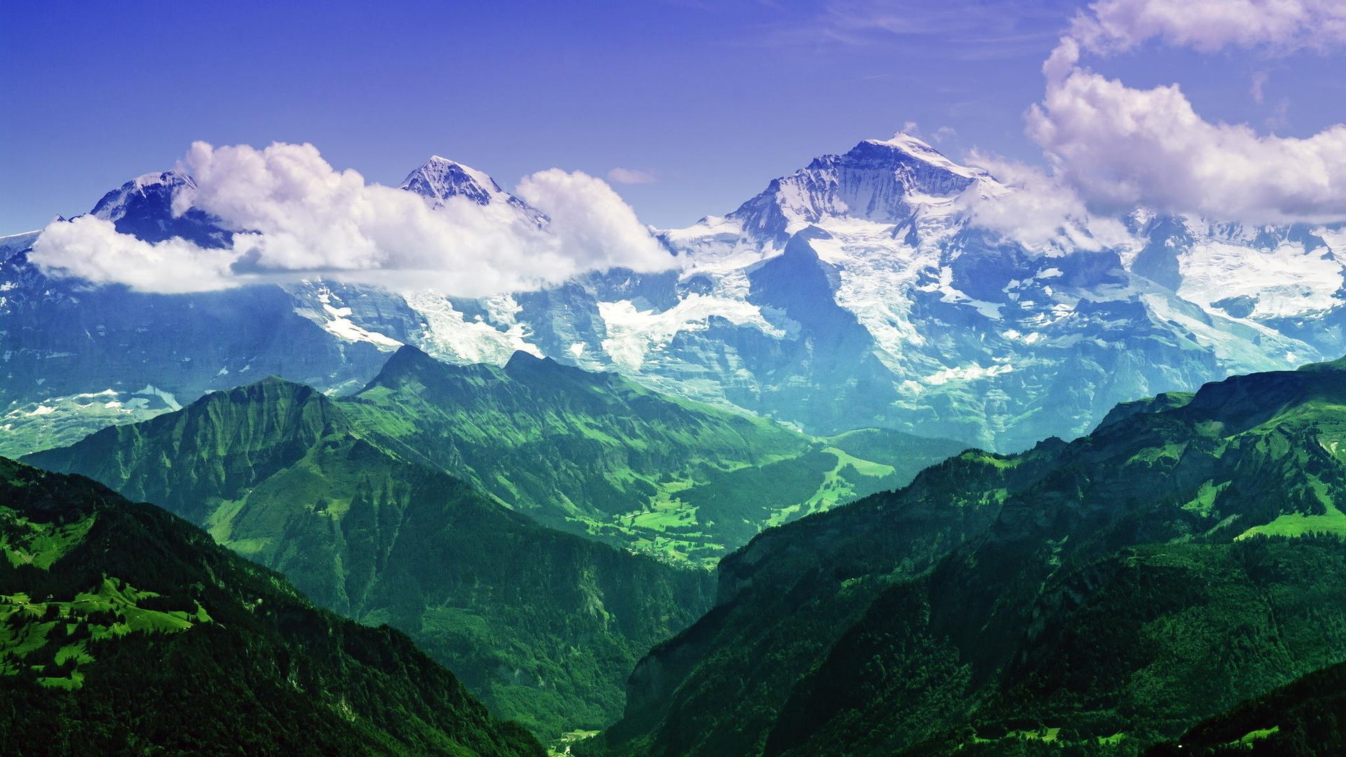 Swiss Alps Photo