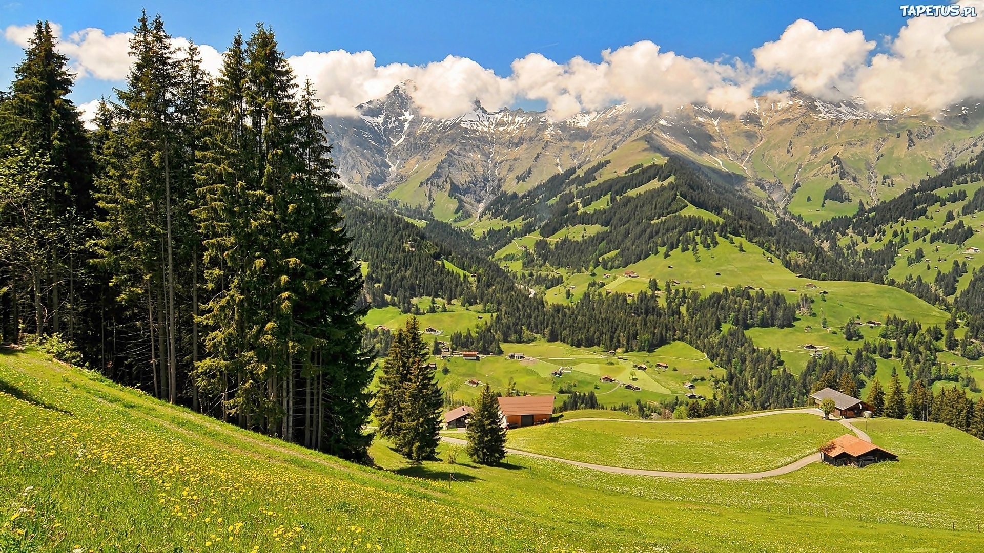 Swiss Alps Photo