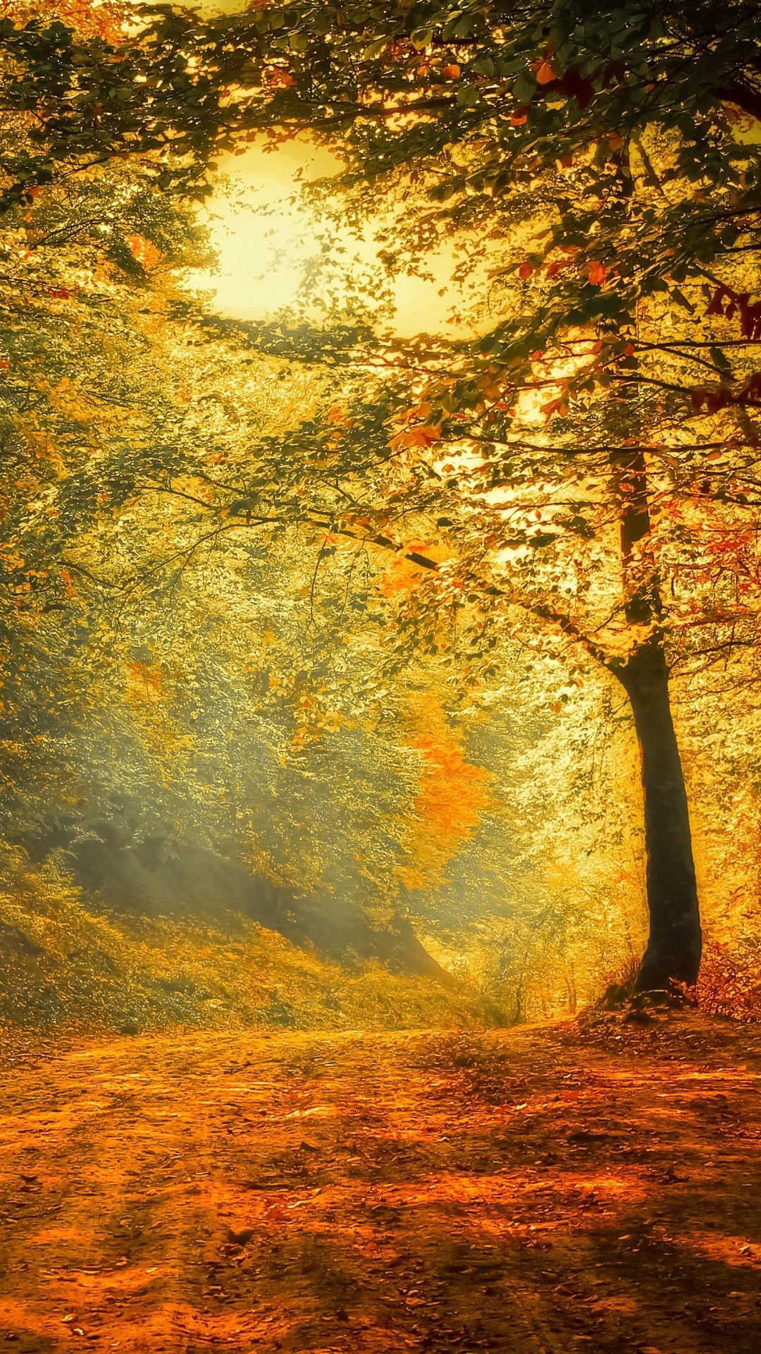 Wallpaper For Iphone Autumn