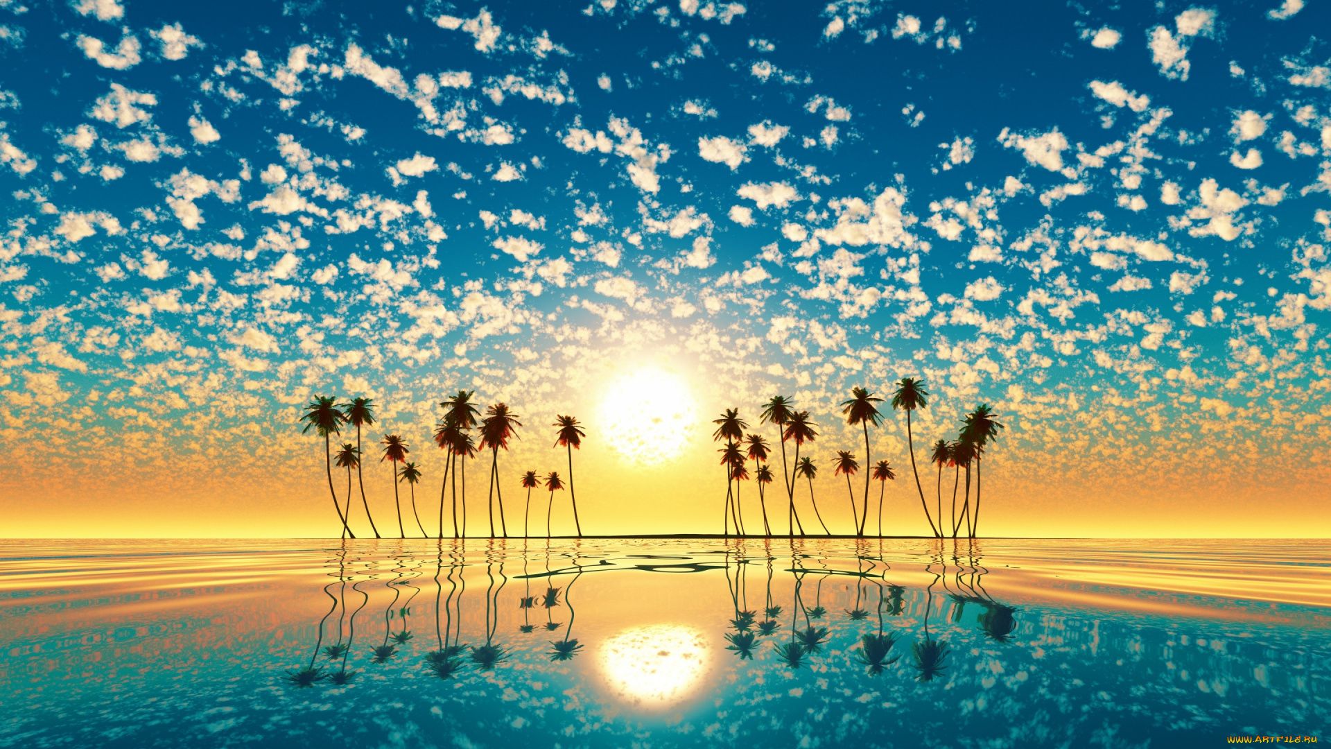 Wallpaper For Iphone Palm Trees And Sunset