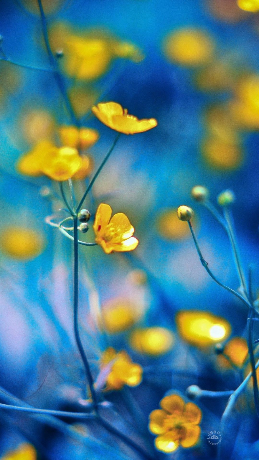 Wallpaper Yellow Flowers
