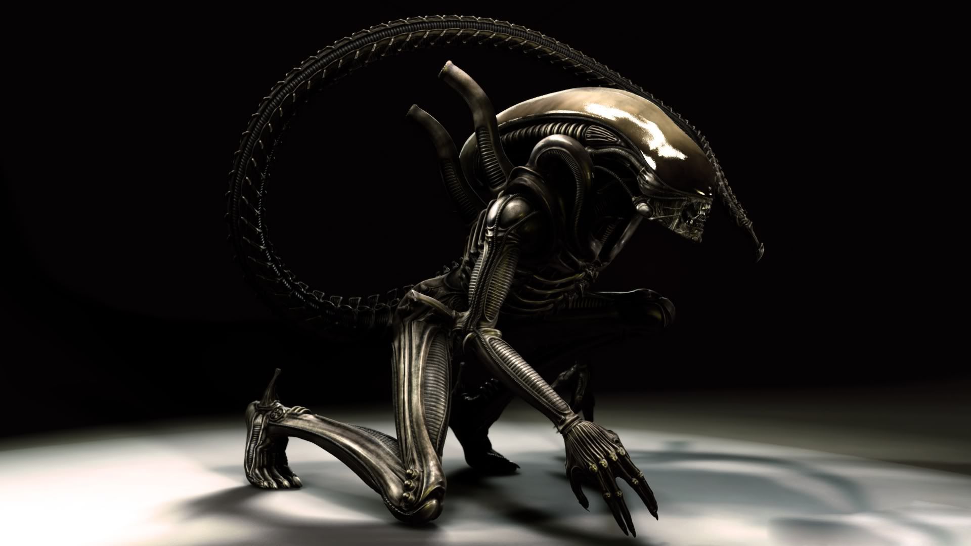 Alien 1 Xenomorph 
