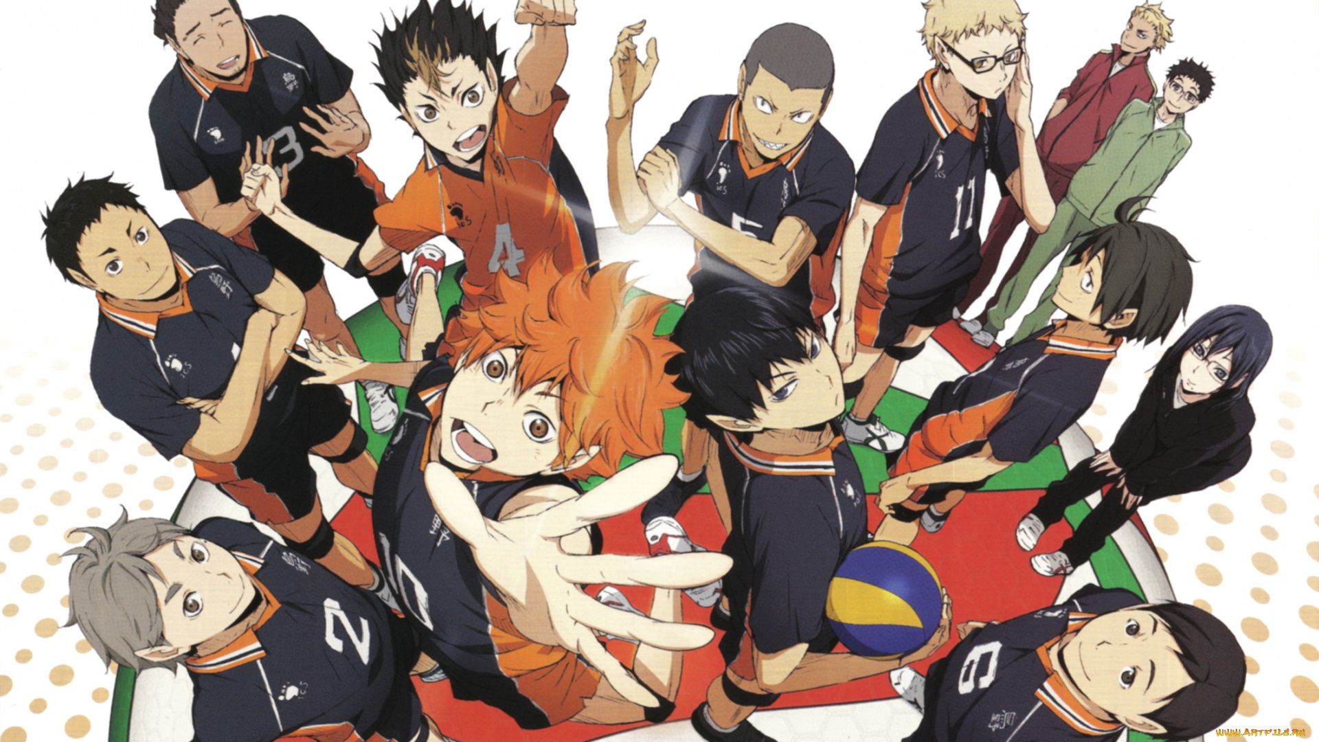 Anime Volleyball Haikyuu!!karasuno