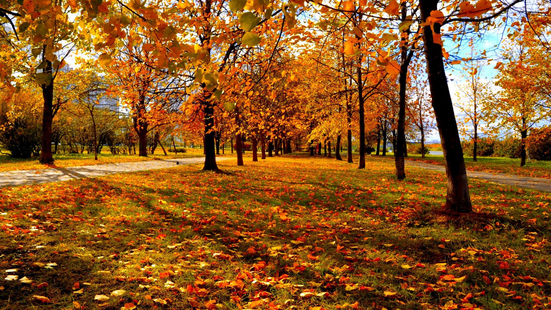 Autumn Park Pictures 1