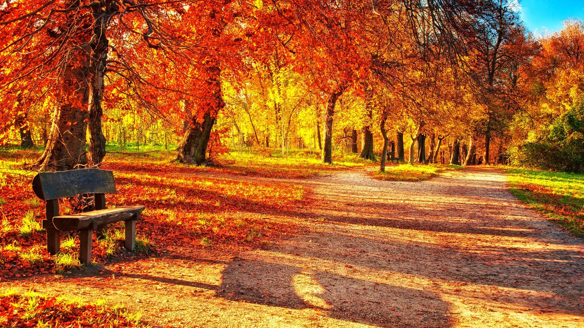 Autumn Park Pictures