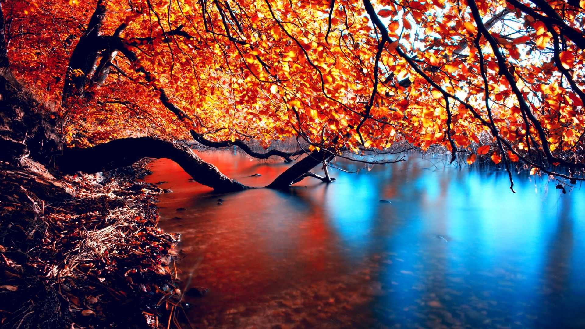 Beautiful Wallpapers Of Autumn