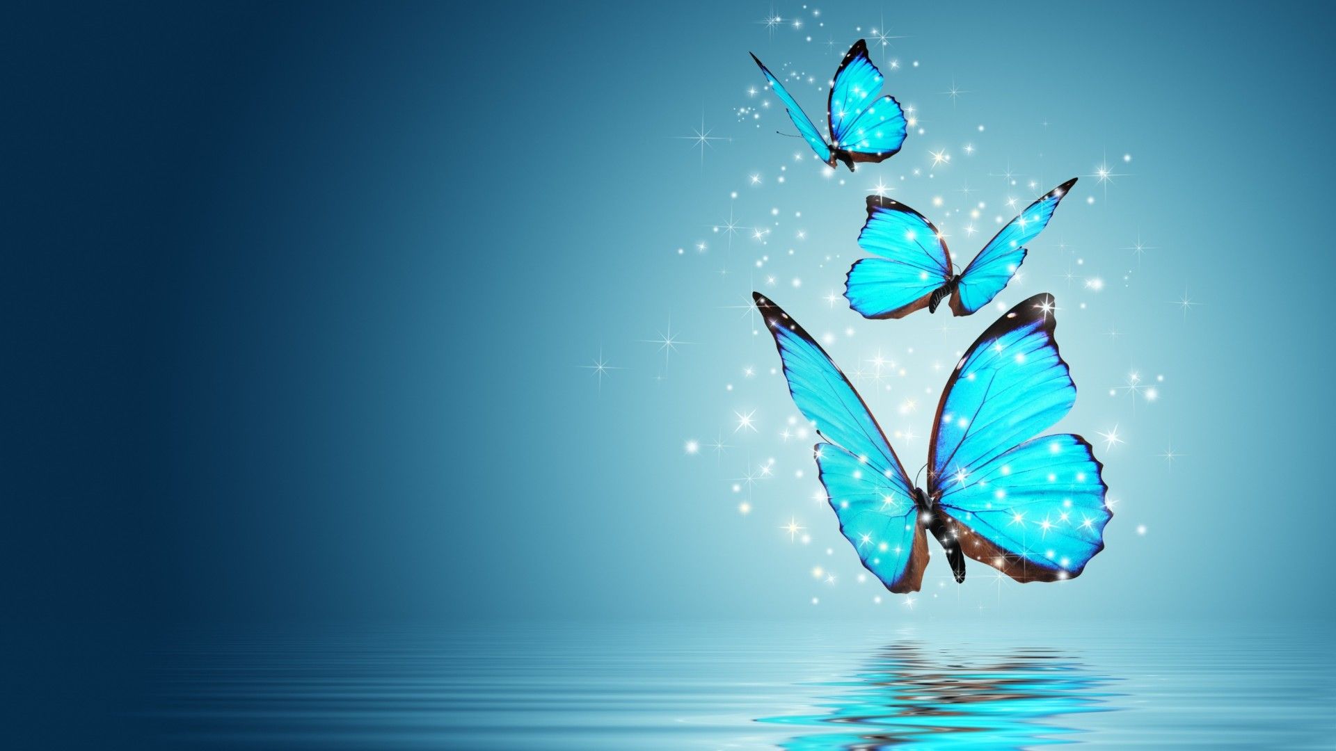 Blue Butterfly On Blue Background