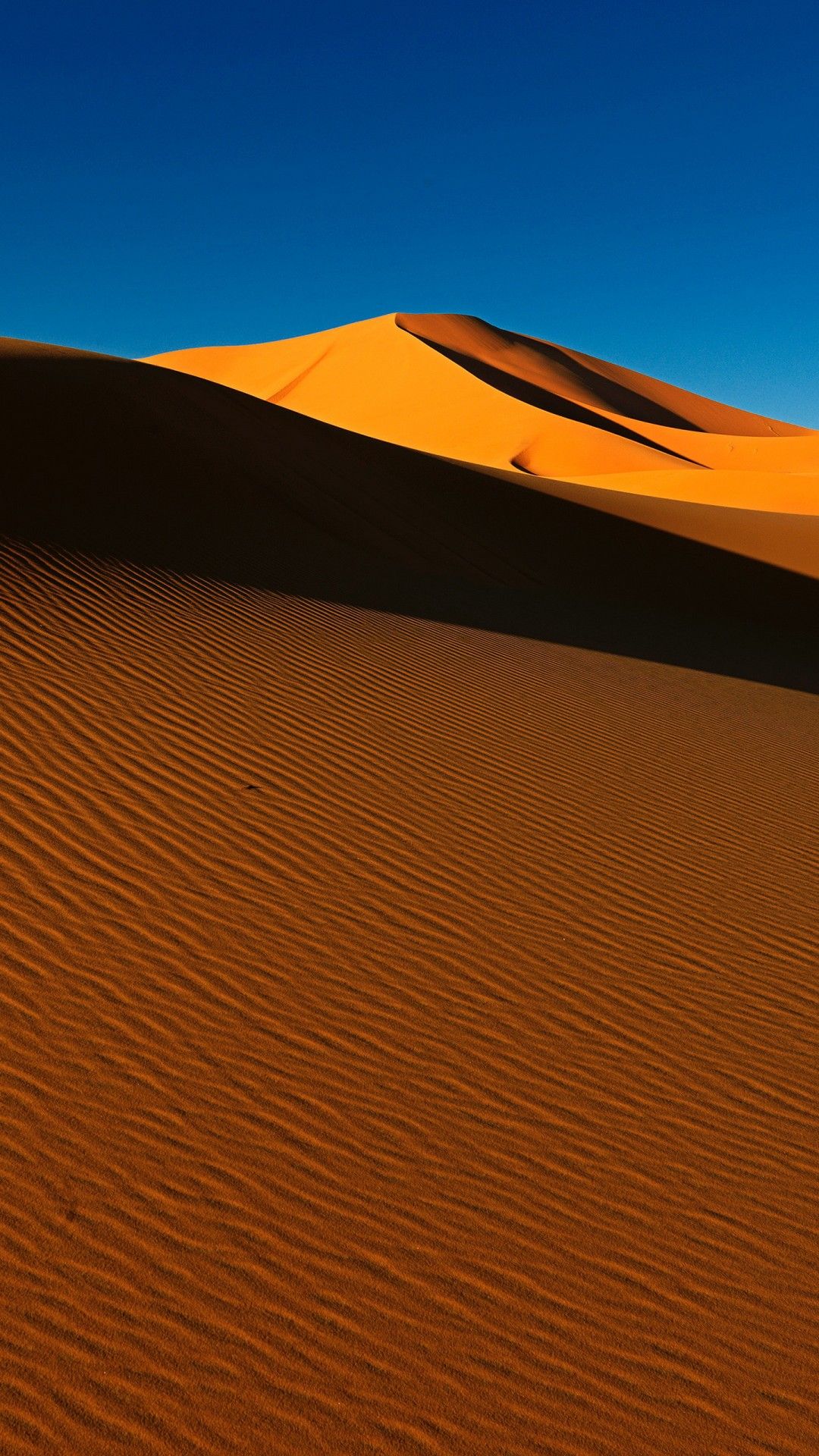 Desert Dunes Wallpaper