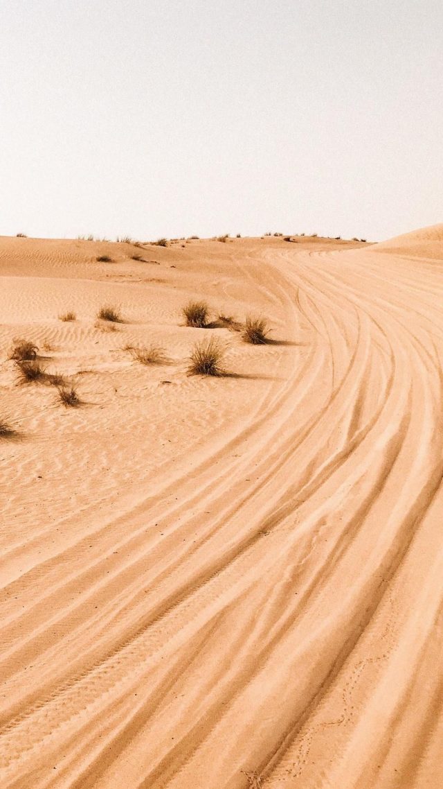 25 Sahara Desert iPhone Wallpapers - Wallpaperboat