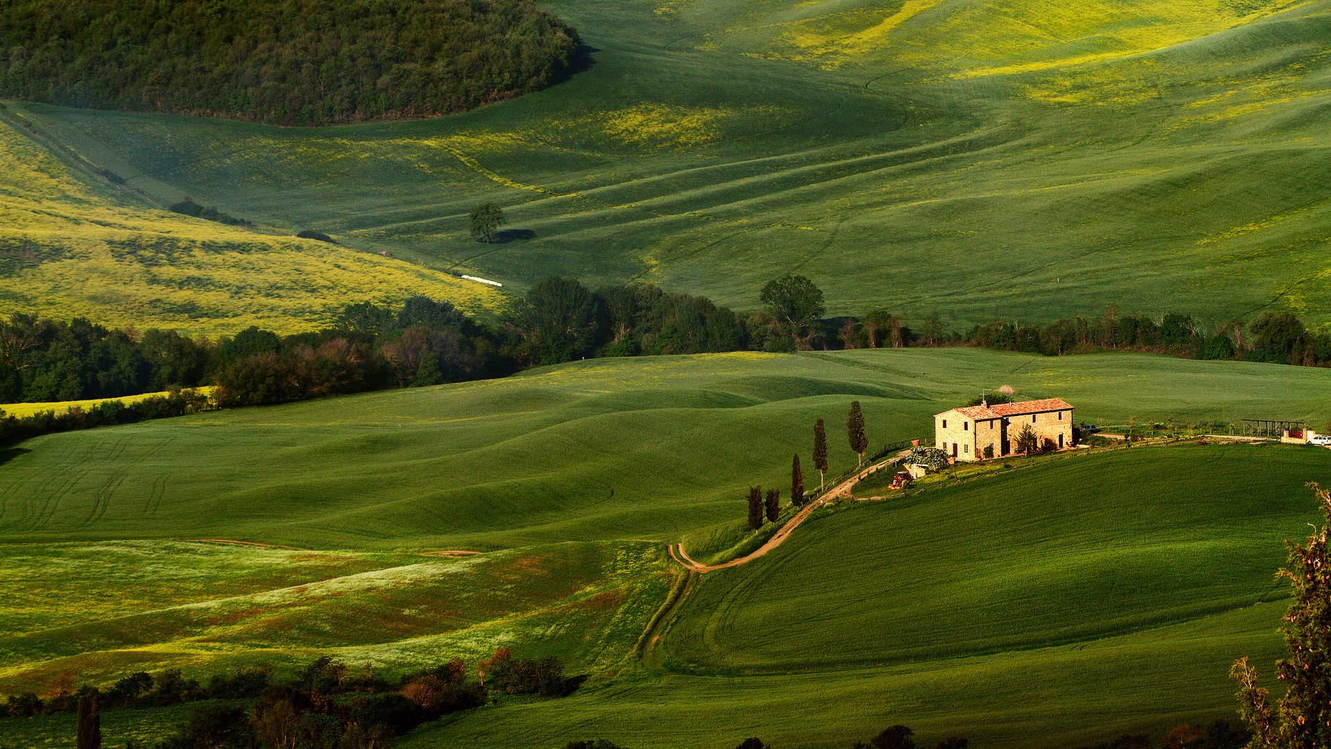 Field Italy Tuscany