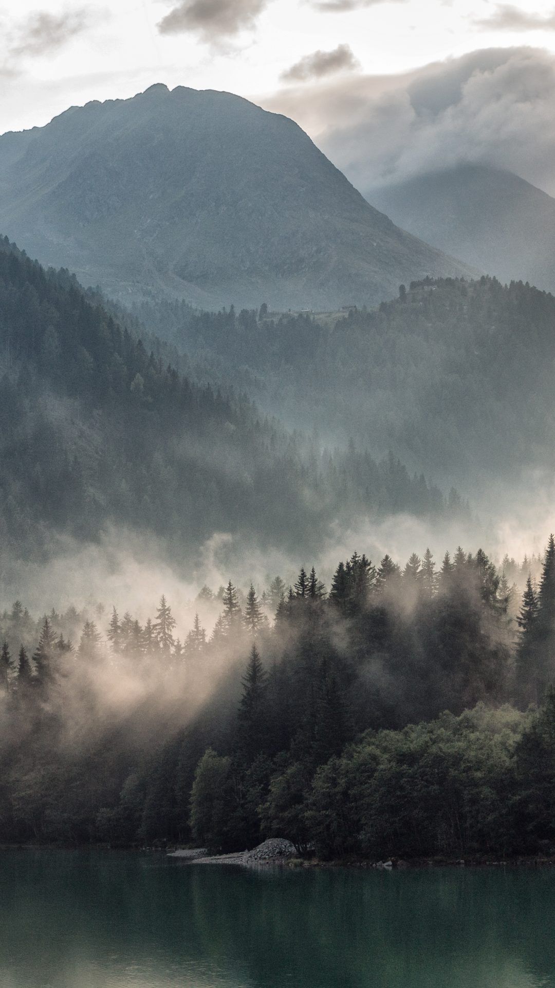 Forest Mountain Fog