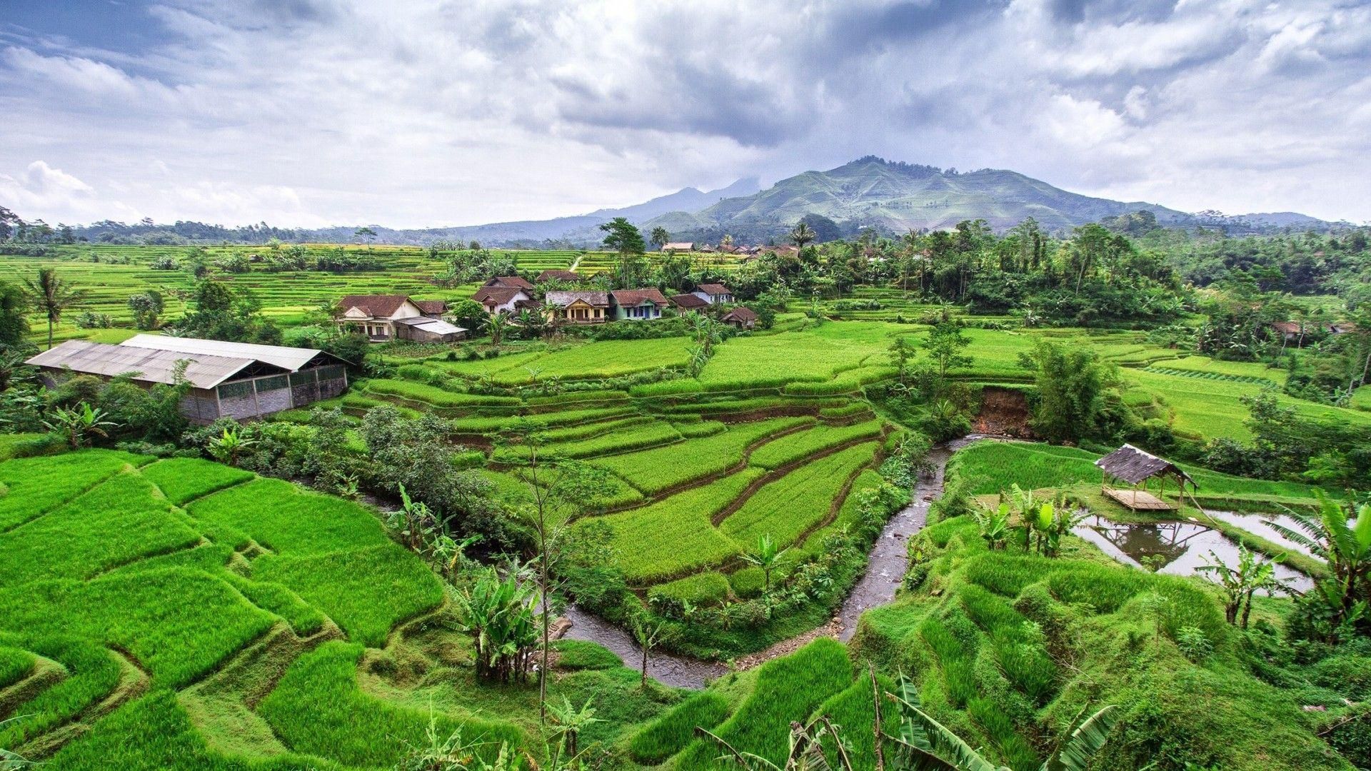The Nature Of Indonesia