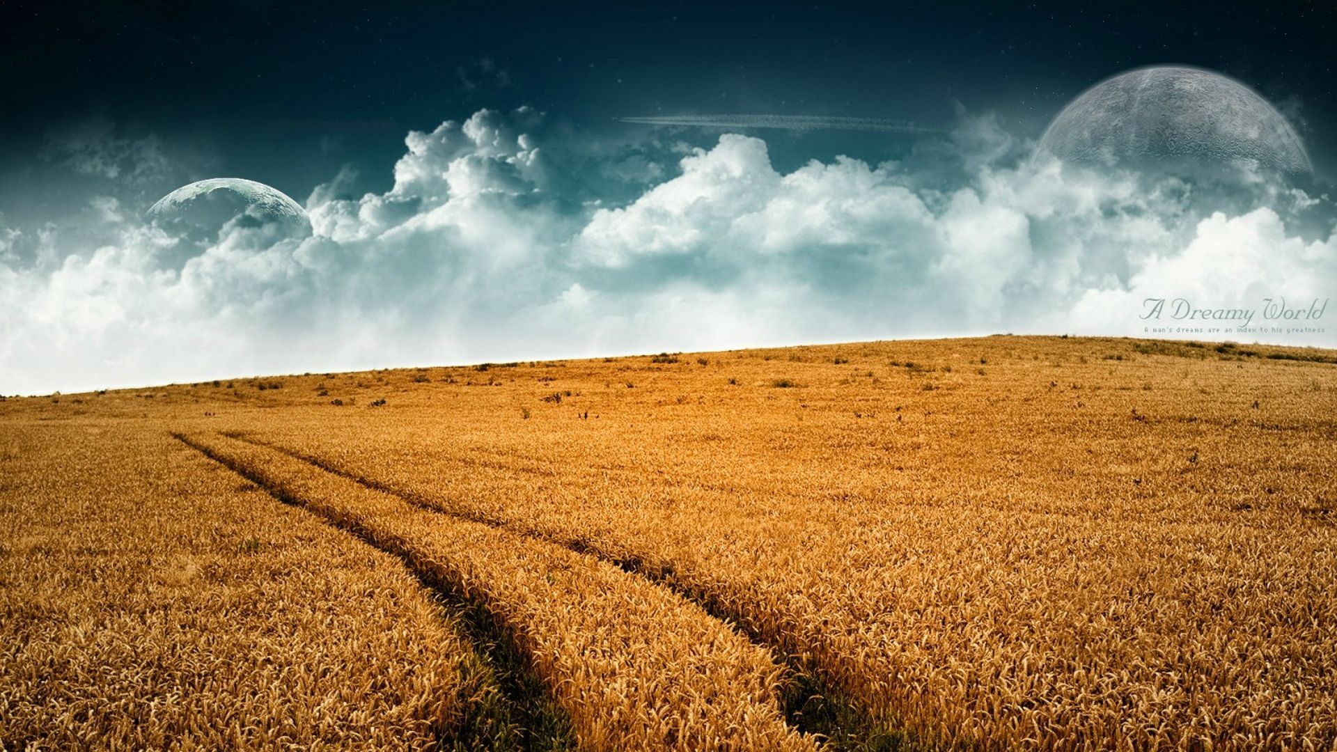Wheat Field Photo 