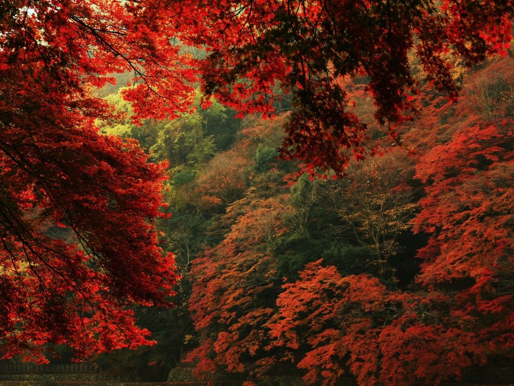 Wallpaper For Computer High Quality Autumn
