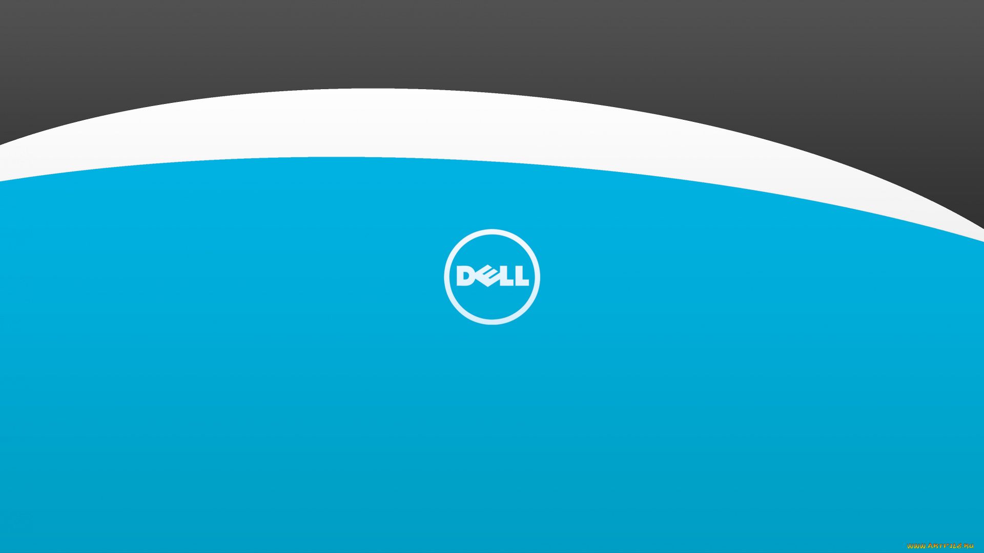 Dell free background