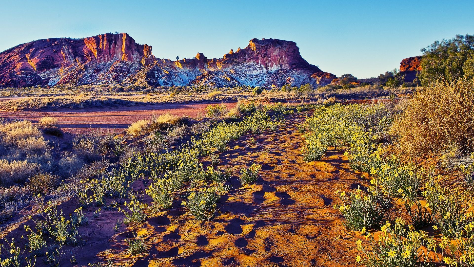 Desert Foothills Landscape 1080p wallpaper