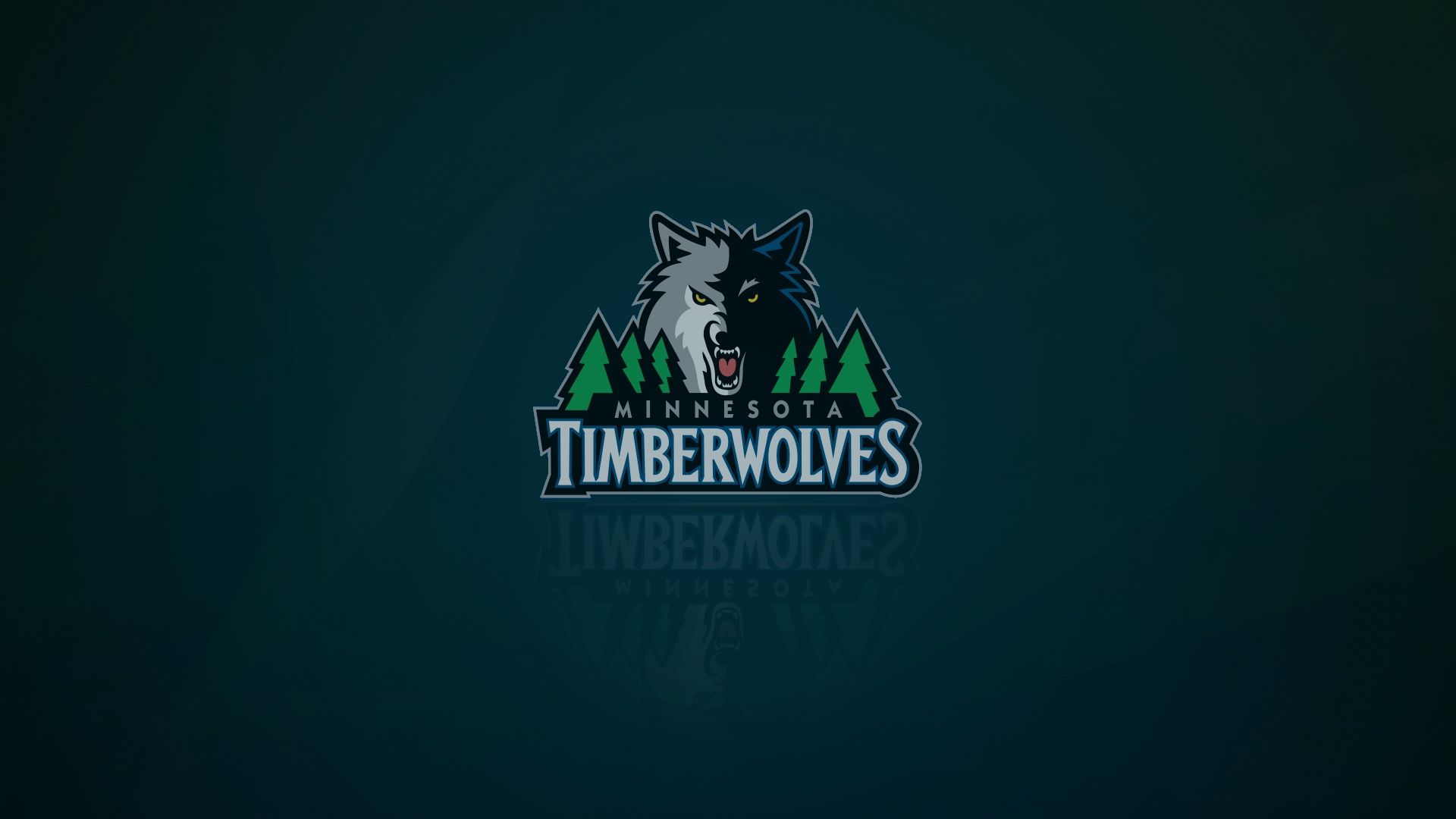 Minnesota Timberwolves picture image