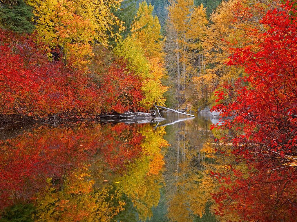 Photos Of Nature In High Quality Autumn
