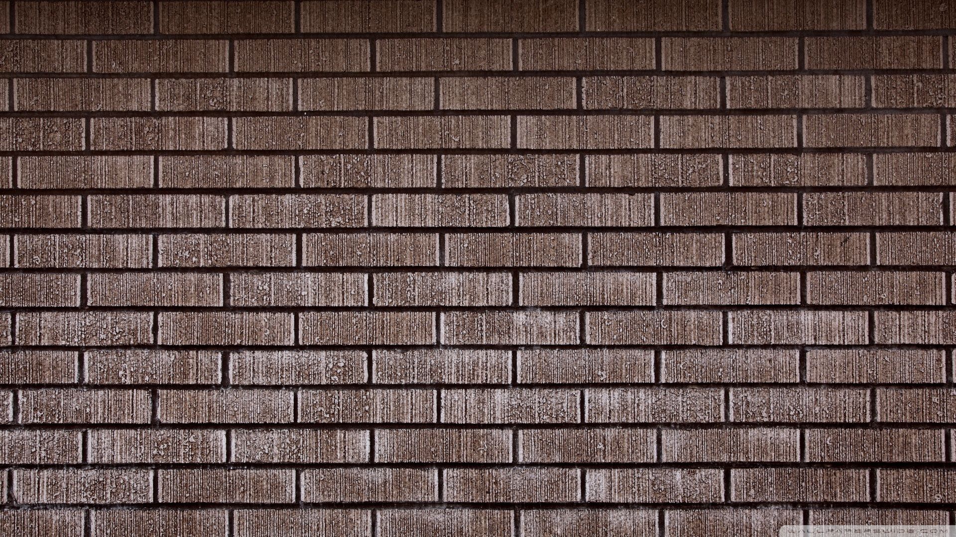 Wall Hd background picture