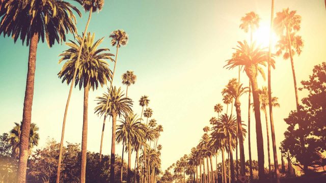 21 Beverly Hills Wallpapers - Wallpaperboat