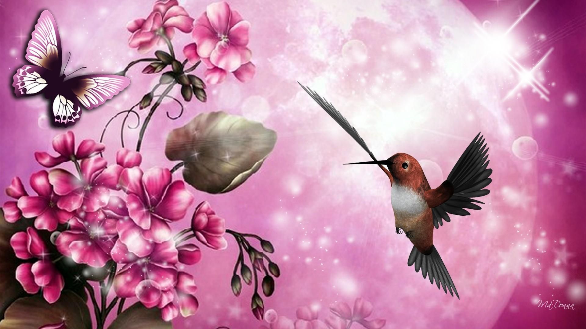 Bird And Butterfly HD Desktop Wallpaper