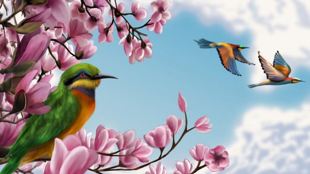 22 Bird and Butterfly Wallpapers - Wallpaperboat