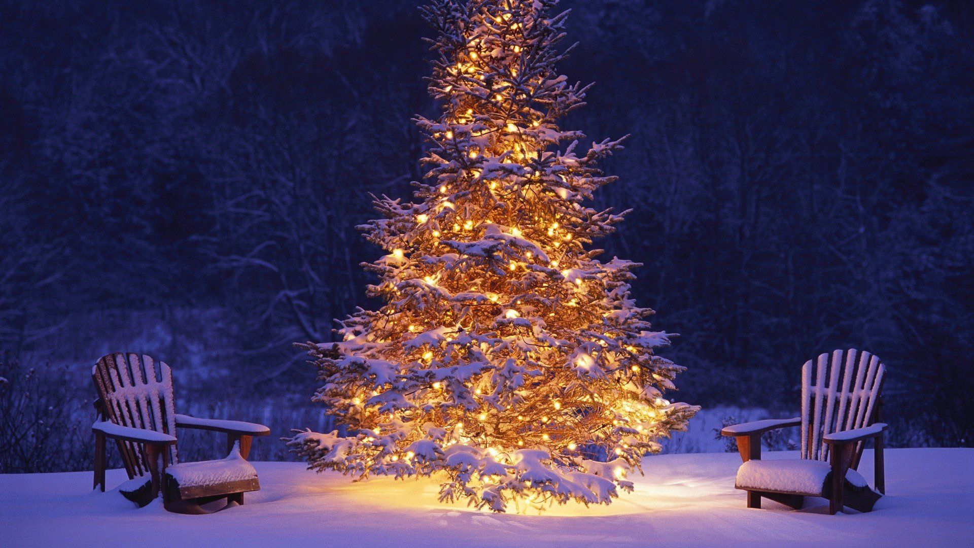 Christmas Tree HD 1080 wallpaper