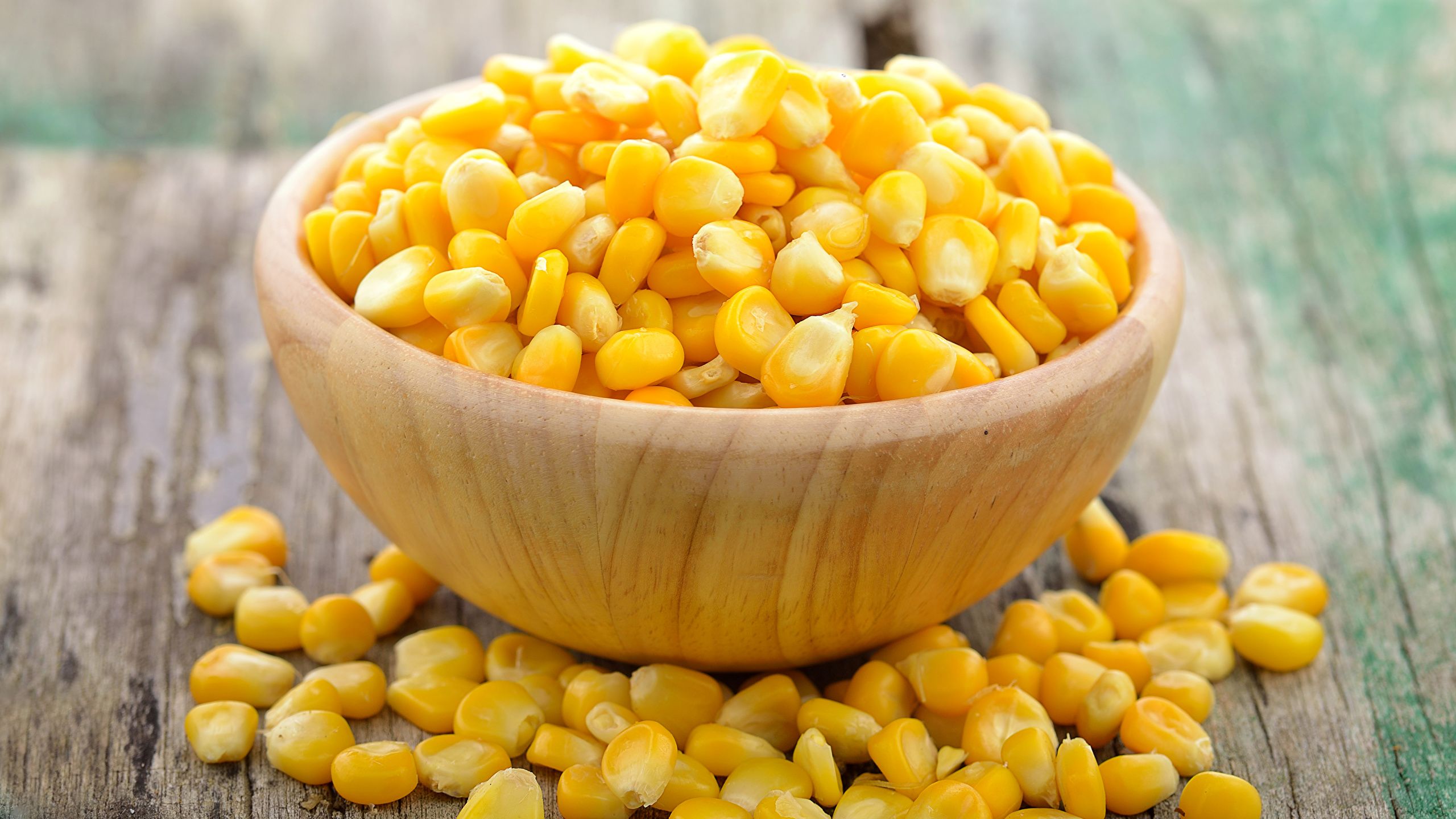 Corn desktop wallpaper download