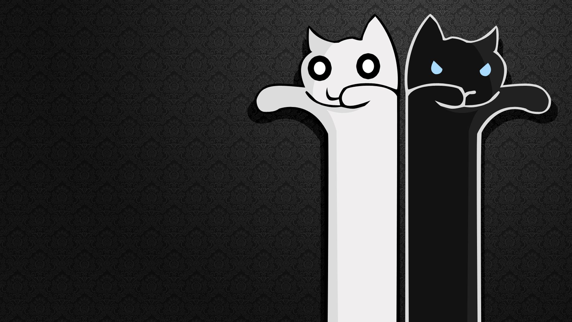 Cute Black And White hd wallpaper 1080p for pc