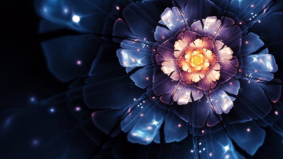 16 Fractal Flower Wallpapers - Wallpaperboat